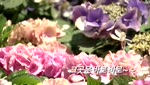[예고편] 2018 U+골프 GTOUR 4차 / 롯데렌터카 WGTOUR 4차